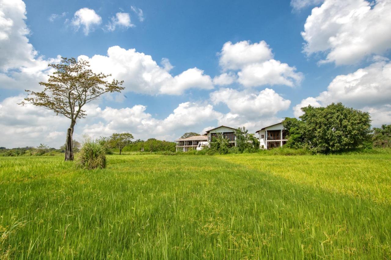Ceylon Breeze Sigiriya Hotel Exterior photo